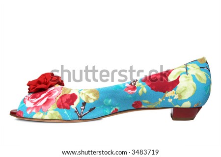 Female shoes on a low heel on a white background