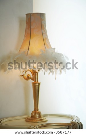 Desk Lamp Shades on Lamp Shade With Feathers Of A Desk Lamp Stock Photo 3587177