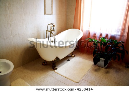 Bathroom with a beautiful bath and an house plant