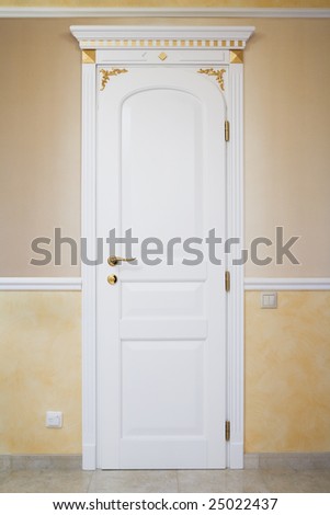 White door with an ornament in a modern apartment