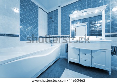 Blue Washroom