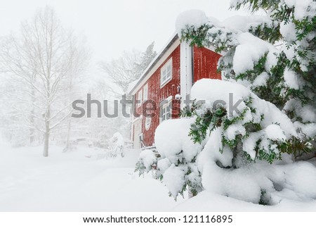 Red house in snowfall with evergreen trees - Sweden