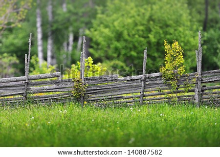 Summer meadow with flowers and a wooden fence in the countryside, Sweden