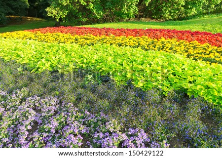 Flowerbed in rainbow colors in Stockholm during a late summer day, from the Pride event earlier in the summer.
