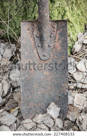 Old rusty shovel blade stuck into the ground in nature