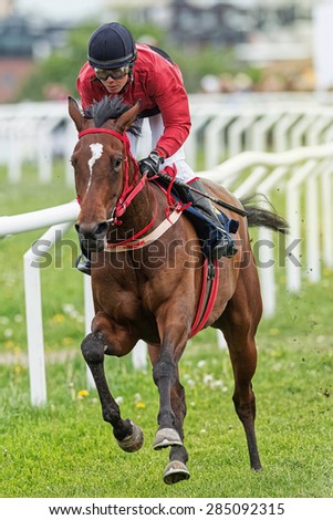 STOCKHOLM - JUNE 6: Jockey and horse in fast pace during race at the Nationaldags Galoppen at Gardet. June 6, 2015 in Stockholm, Sweden.
