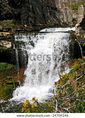 Waterfall in provincial park (Folks of the Credit, Ontario, Canada)