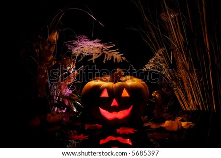 Halloween pumpkin and dry plants on black background.