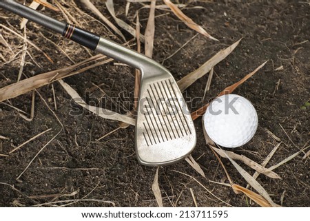 A golf ball on the ground
