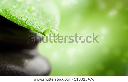green abstract background spa with leaf and water drop green abstract background spa with leaf and water drop