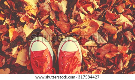 Shoes red shoes in the autumn leaves