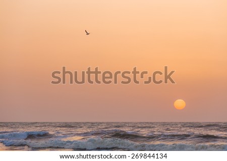 Sunrise on the storm sea with strong wind and sea bird in the sky. Big yellow sun near the skyline