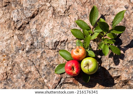 Fresh apples on big old stone. Top view.