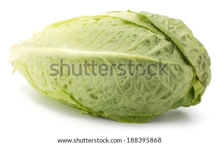 Fresh roman lettuce isolated on white background