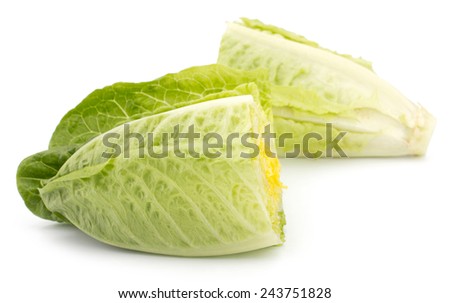 Fresh cut roman lettuce isolated on white background