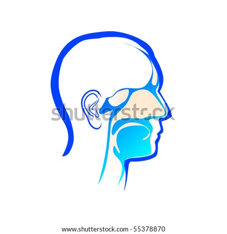 Ear, Nose And Throat Stock Vector Illustration 55378870 : Shutterstock