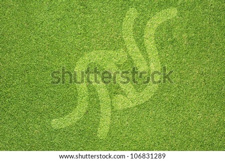Sport judo on green grass texture and  background