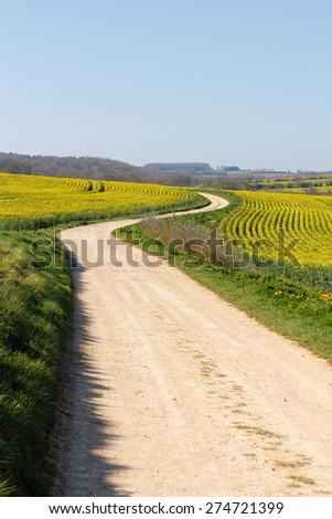 Meandering foot path dirt track winding through farmland, yellow rape seed oil crops in English countryside. Concepts looking forward, journey of life, twists and turns, long road ahead, direction