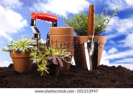 Garden tools on blue sky background