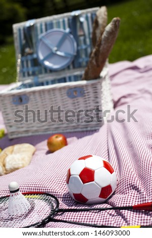 Picnic basket on green lawn