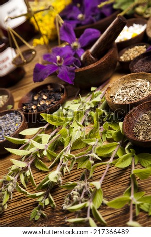 Fresh medicinal herbs on wooden