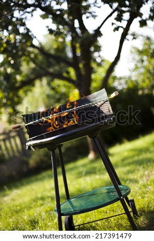 Grill flame, hot burning grill