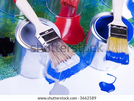 Paint brush and paint