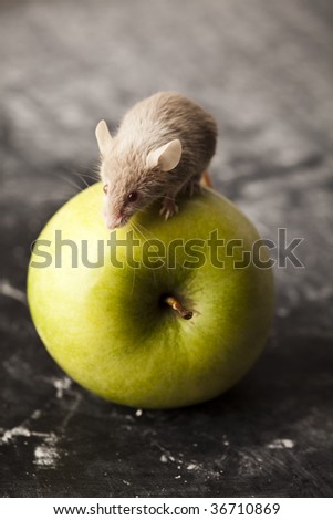 Apple and mouse