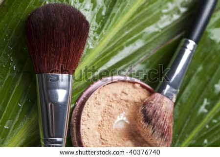 Face powder, make up and brush