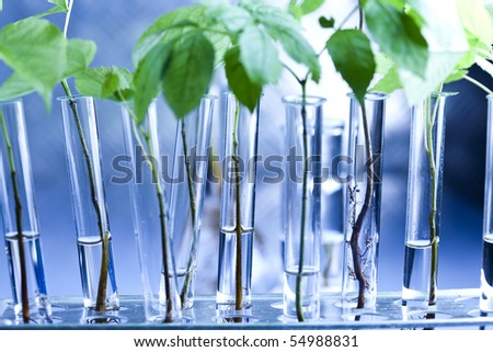 Plant and laboratory