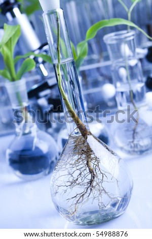 Laboratory, plant, testing