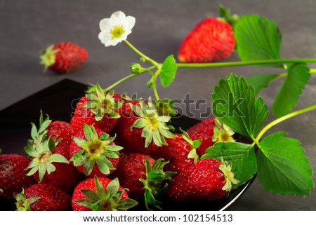 strawberry with strawberry plant over black background