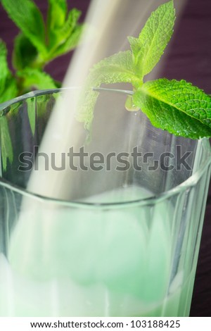 mint and milk drink with fresh mint leaf