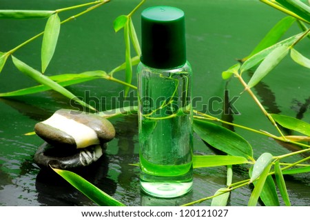 bamboo essential oil with bamboo plant