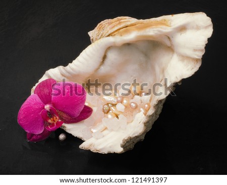 wellness concept with oyster, pearls and orchid