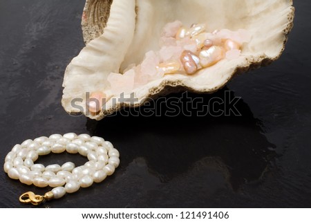 pearl jewels and oyster seashell over ardesia