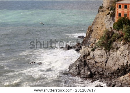 house over cliff with stormy sea and segull flying over the sea