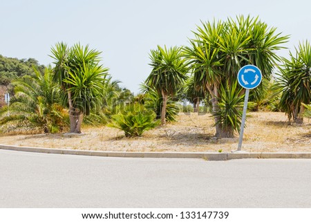 Traffic island of a traffic circle with palms and signs in Spain