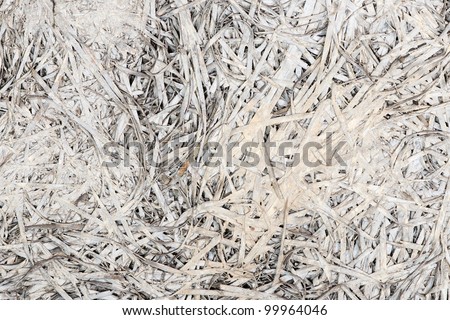 Detail of an insulating wall panel with wood shavings