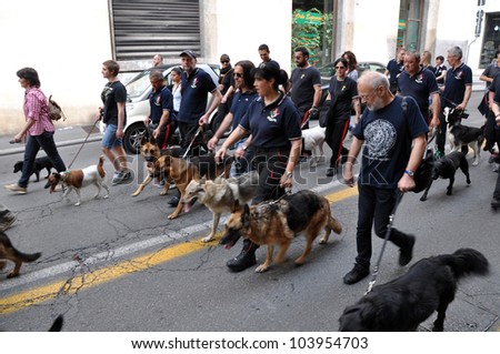 BRESCIA,ITALY - MAY,27: Dogs Club participates in the parade of AICS (Italian Association of Culture and Sports) 3 ^ RIEDIZIONE XXMIGLIA, May 27, 2012 in Brescia, Italy