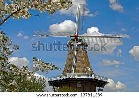 Dutch windmill with cherry blossoms in holland, michigan