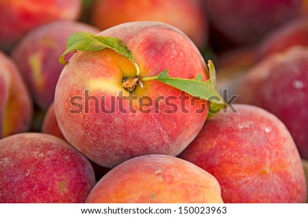 close up of peaches with leaf