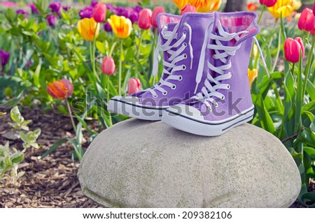 pair of purple high top sneakers on a rock on a spring tulip garden
