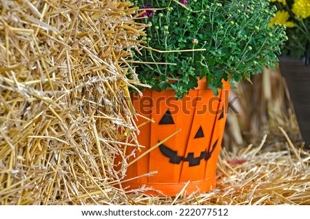 pumpkin bushel basket with fall mum on a hay bale