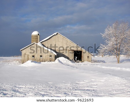 bleached out barn in winter