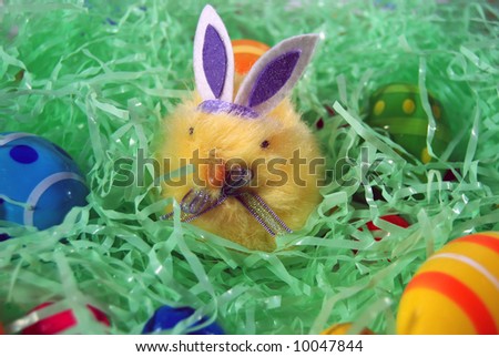 easter chick with eggs