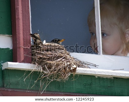 girl watching nesting bird
