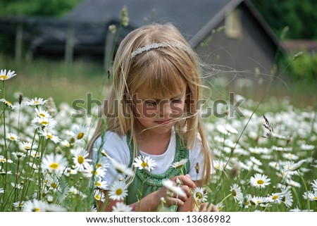 little girl in a daisy field