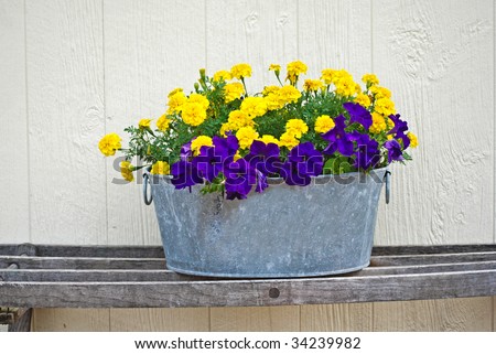 petunias and marigolds in old tub
