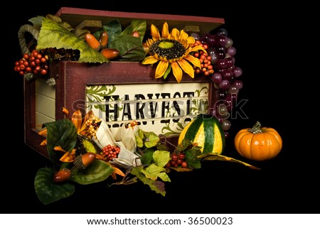 harvest box on black